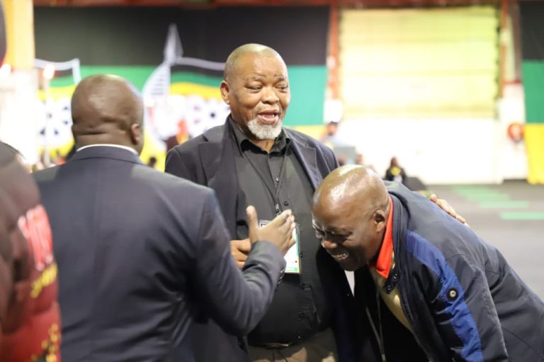 Mantashe - Policy Conference 2022