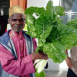 Awqaf-SA_Food_security-1