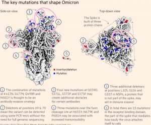 Omicron Covid variant Omicron Covid variant