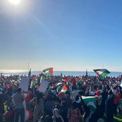 Palestine-demo