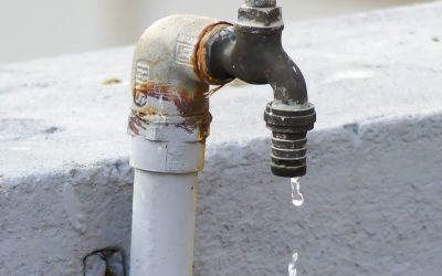 Tap Water