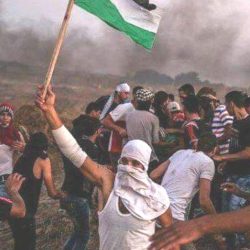 Palestinian resistance